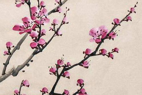 4月份黄道吉日2025年 4月份黄道吉日2025年查询