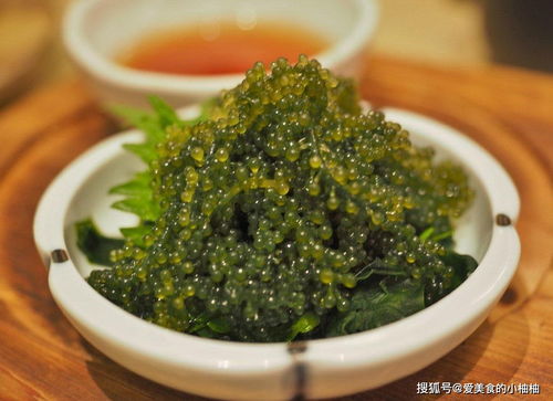 入宅选什么吉日 入宅选什么吉日和建星