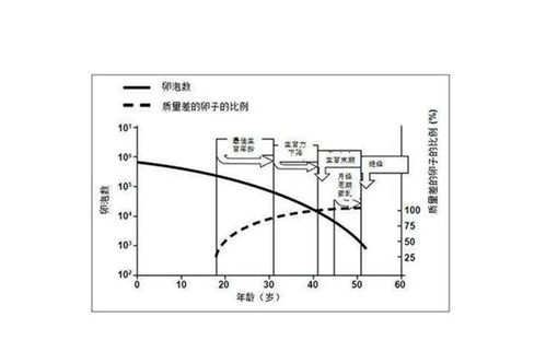 4月生孩子黄道吉日 4月生孩子黄道吉日查询