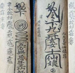 黄道吉日冲是什么意思 黄道吉日冲是什么意思?