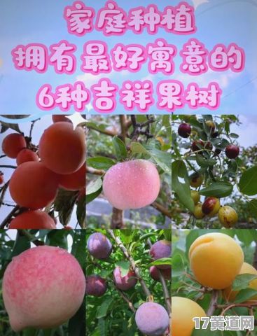 11月果园开园吉日怎么查？有哪些吉祥语祝福果园开园？